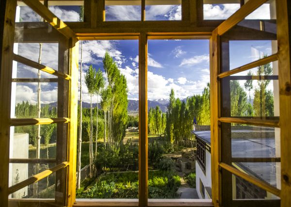 Cost of Wood Window Replacement in Brownsburg