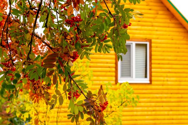 Cost of Garden Window Replacement in Brownsburg